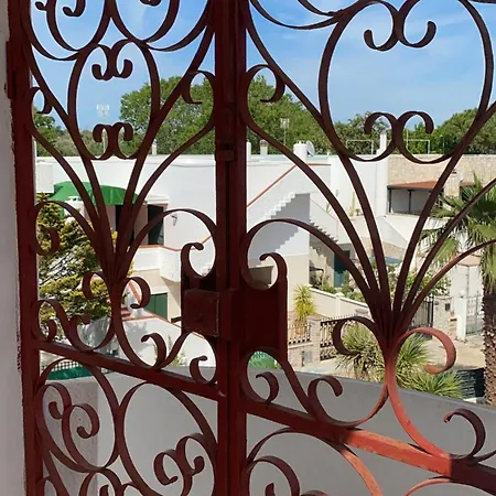 Attico Mimose Baia Verde Holiday home *